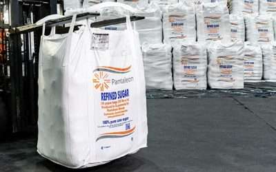Polypropylene and Jute Agro-Industrial Packaging for Storage and Transport of Products