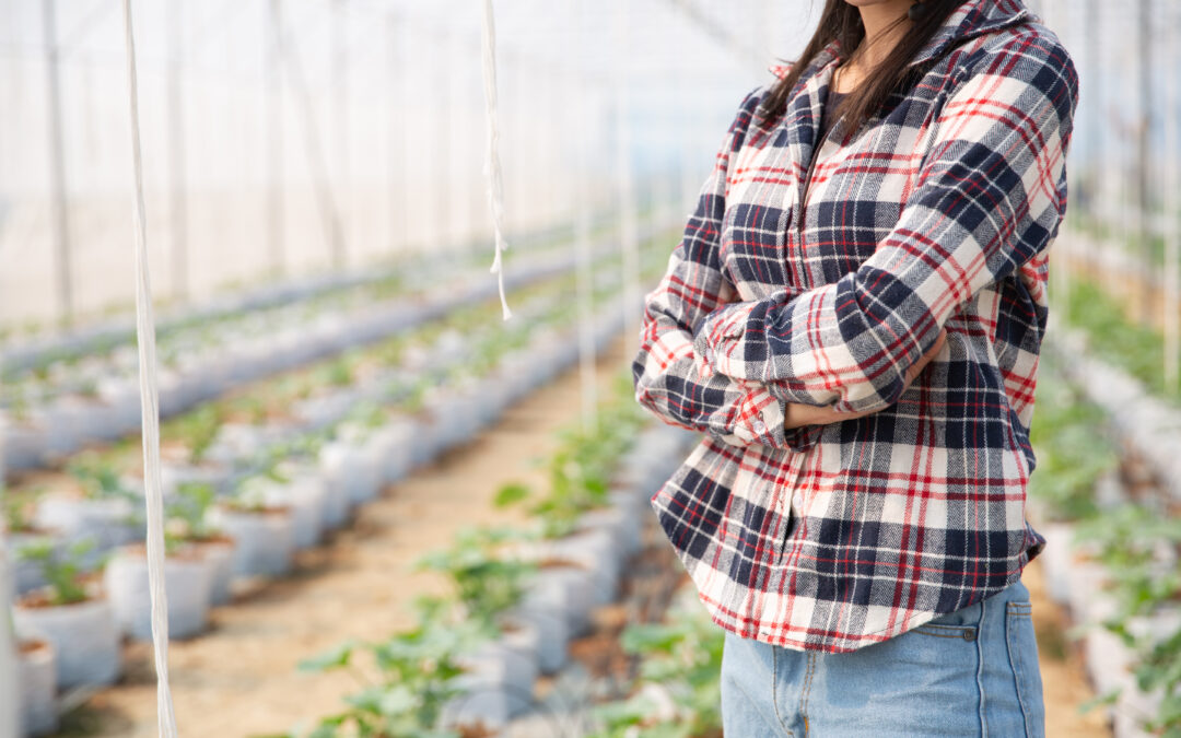 Conoce nuestras telas agrícolas y refuerza tus cultivos con productos de polipropileno