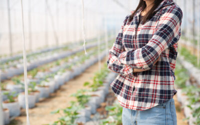 Conoce nuestras telas agrícolas y refuerza tus cultivos con productos de polipropileno