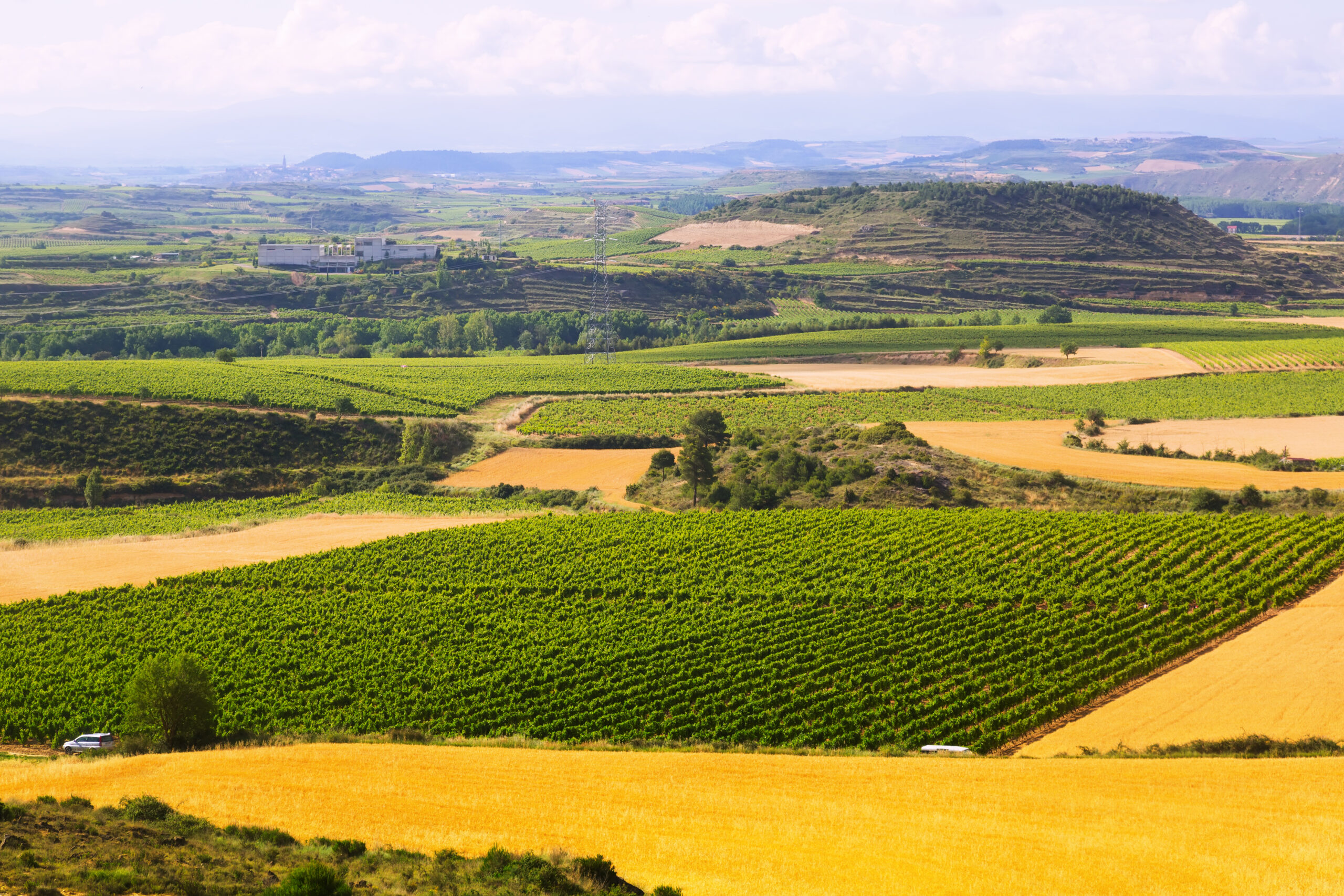 Rural landscape near Haro