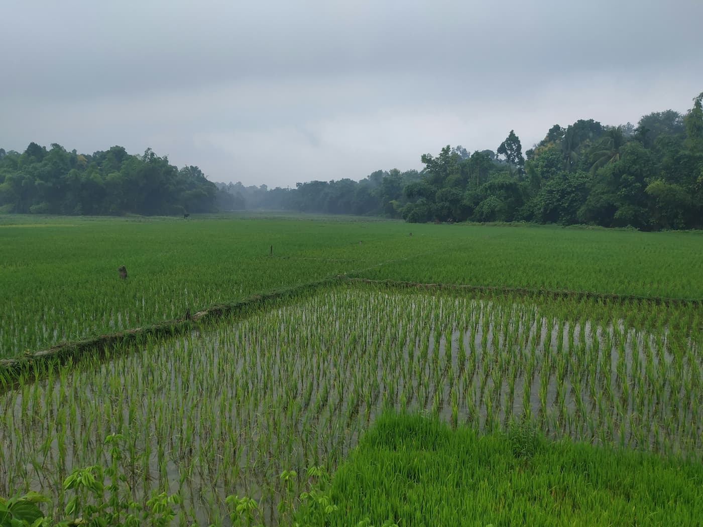 Protect Your Crops from Erosion During the Rainy Season with Geosacks and TrapBags Protect Your Crops from Erosion During the Rainy Season with Geosacks and TrapBags