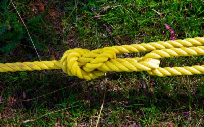 Find out why nylon twine is one of the most effective ways to protect your crops